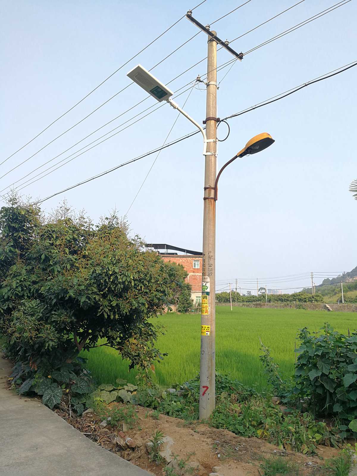 農(nóng)材免接線光能路燈