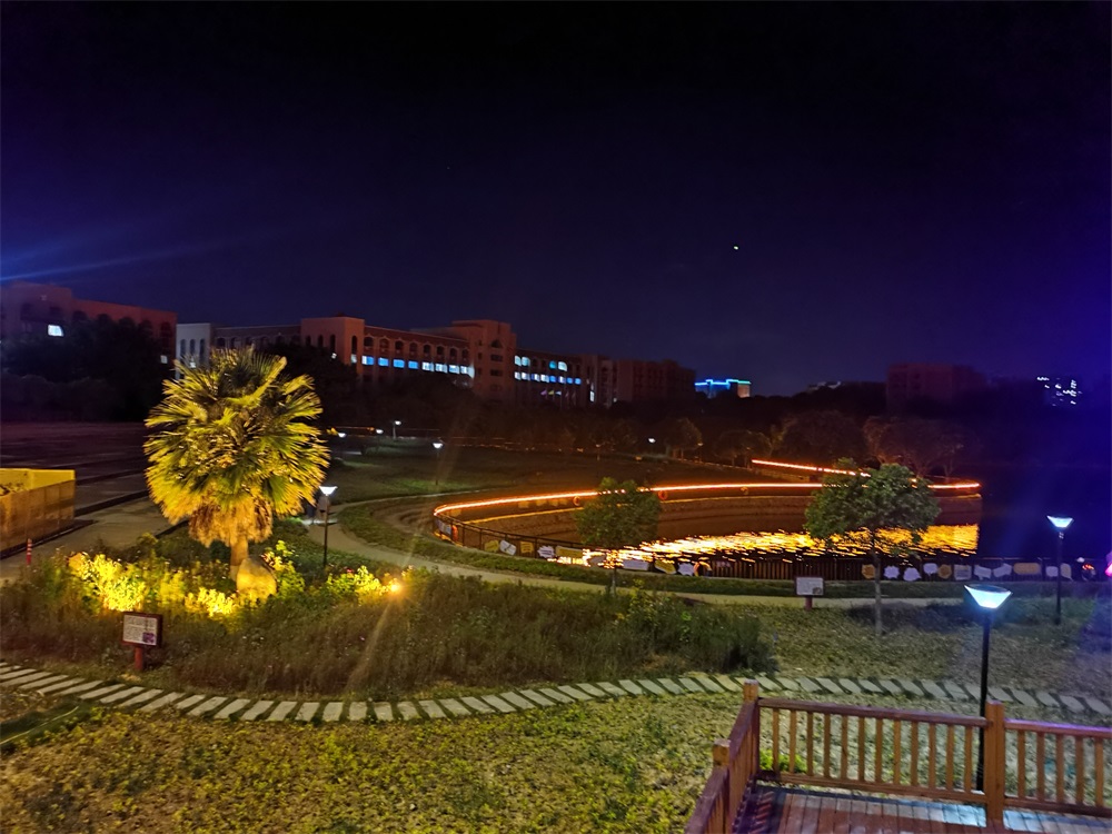 2021景區(qū)微光能變色景觀燈
